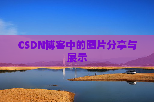 CSDN博客中的图片分享与展示